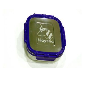 Medium Lunch Box (VEIGO)